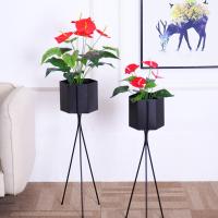 uploads/erp/collection/images/Home Garden/CongDing/XU0610521/img_b/XU0610521_img_b_2